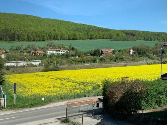 Ferienwohnung Werratal Obermassfeld-Grimmenthal Bagian luar foto